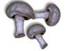 Captcha image 4023